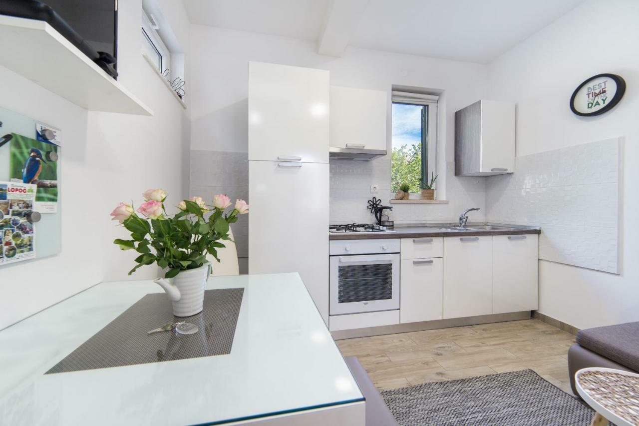 Studio Apartment Finta Rogotin Exterior foto